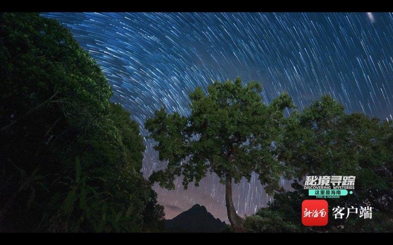 冷知识分享平台-发现不一样的蒲松龄是什么朝代的?!