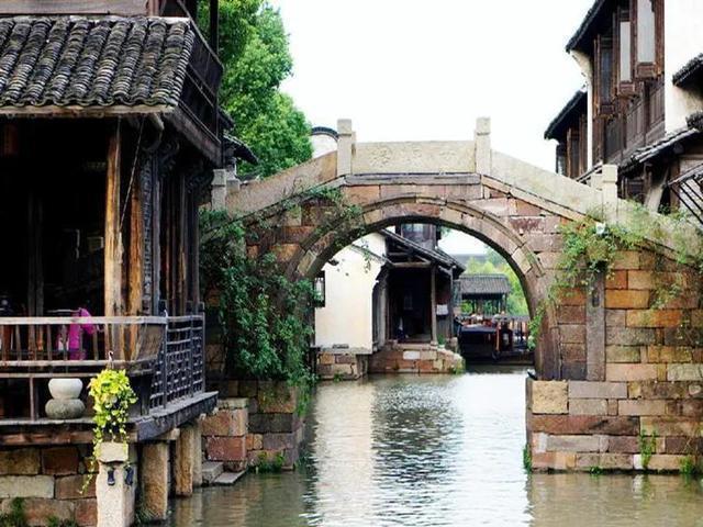 懂事!金丝猴坐路边礼貌接过游客苹果,这只猴子为何这么礼貌?-wiki百科全书-2025-05-24已更新